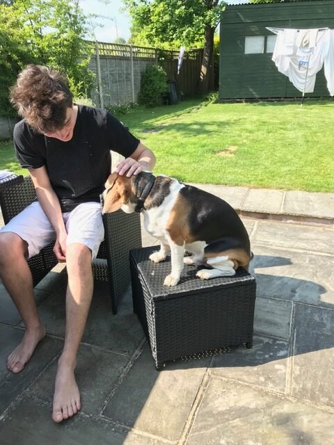 img 3721